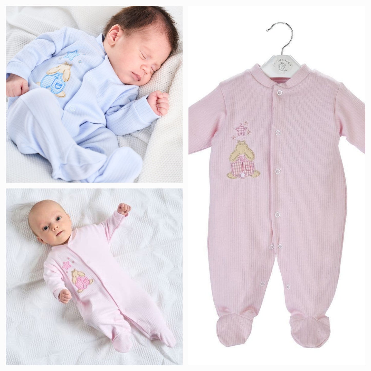 Dandelion  baby grow comes in 3 colours