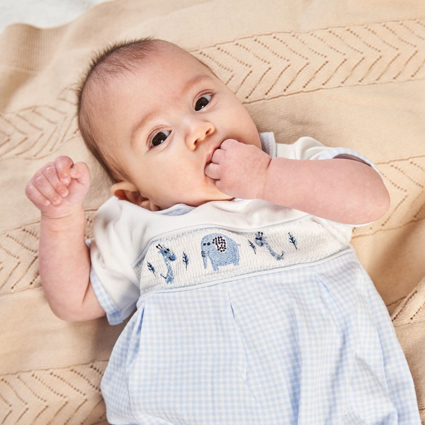 Baby Boys dandelion romper with smocking and  jungle animals embroidery